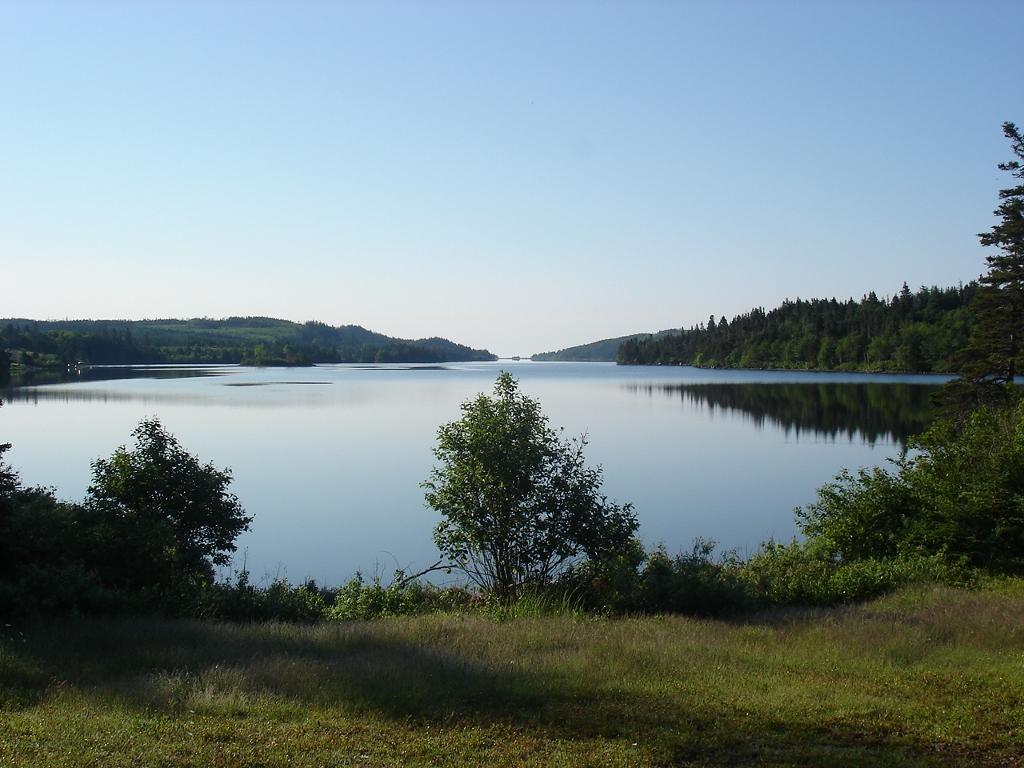 Lonely Rock Seaside Bungalows Larry's River Esterno foto