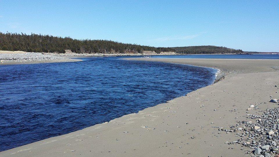 Lonely Rock Seaside Bungalows Larry's River Esterno foto